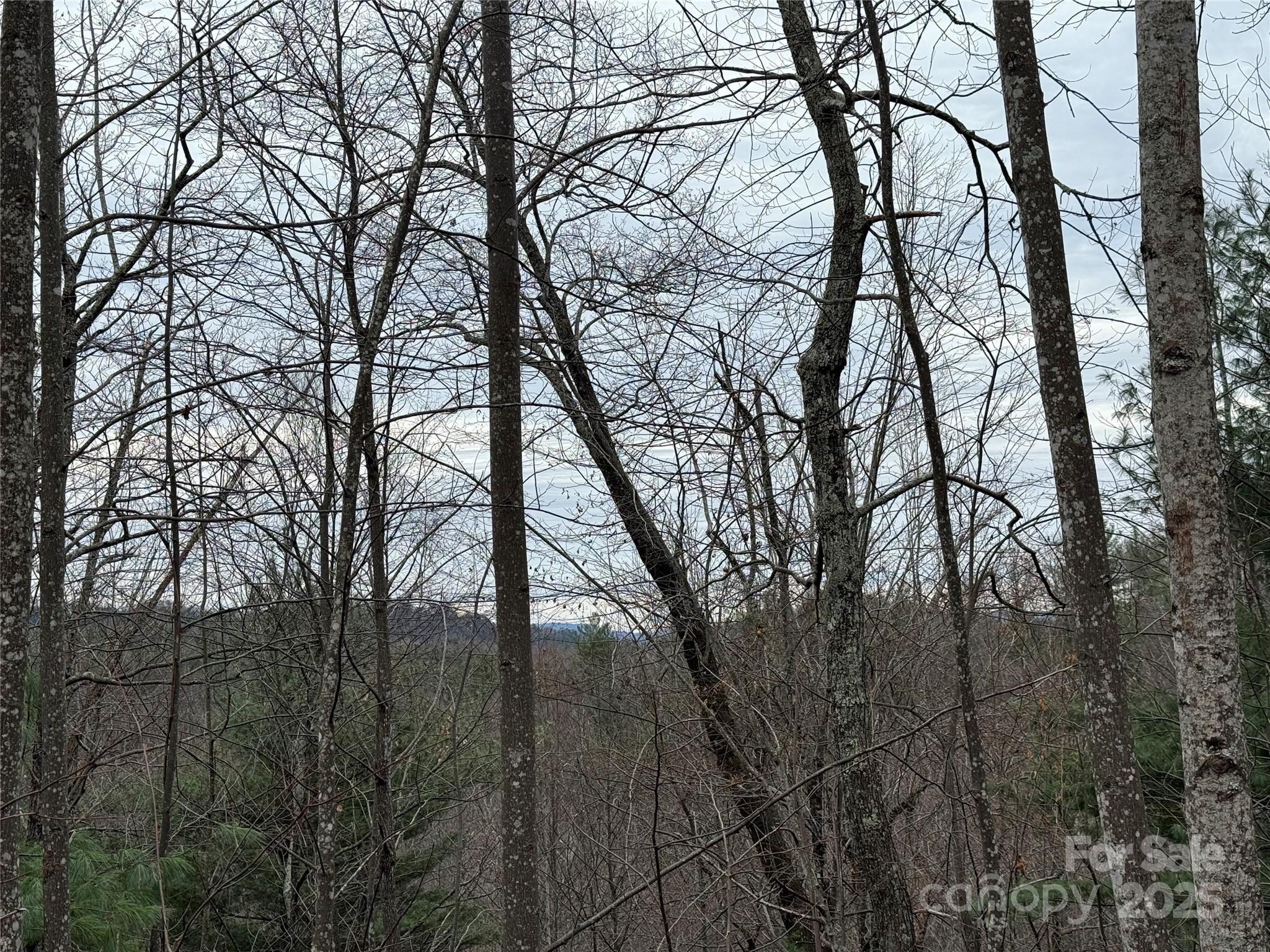Tbd Casey Mountain Road Purlear NC 28665
