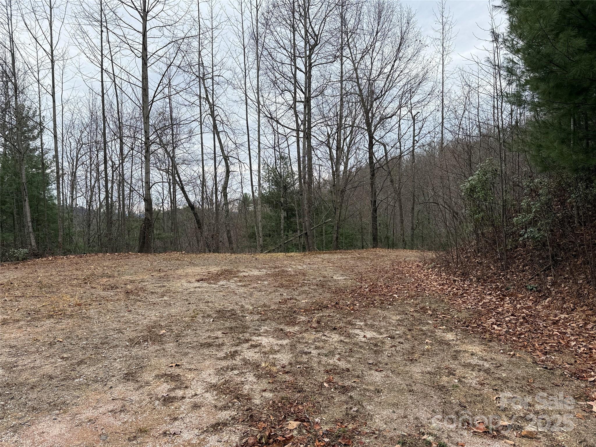Tbd Casey Mountain Road Purlear NC 28665