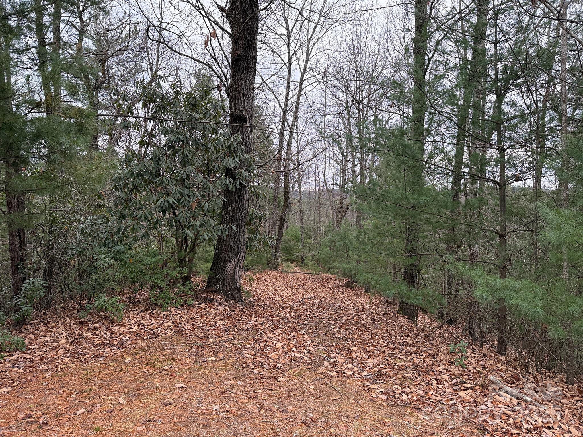 Tbd Casey Mountain Road Purlear NC 28665