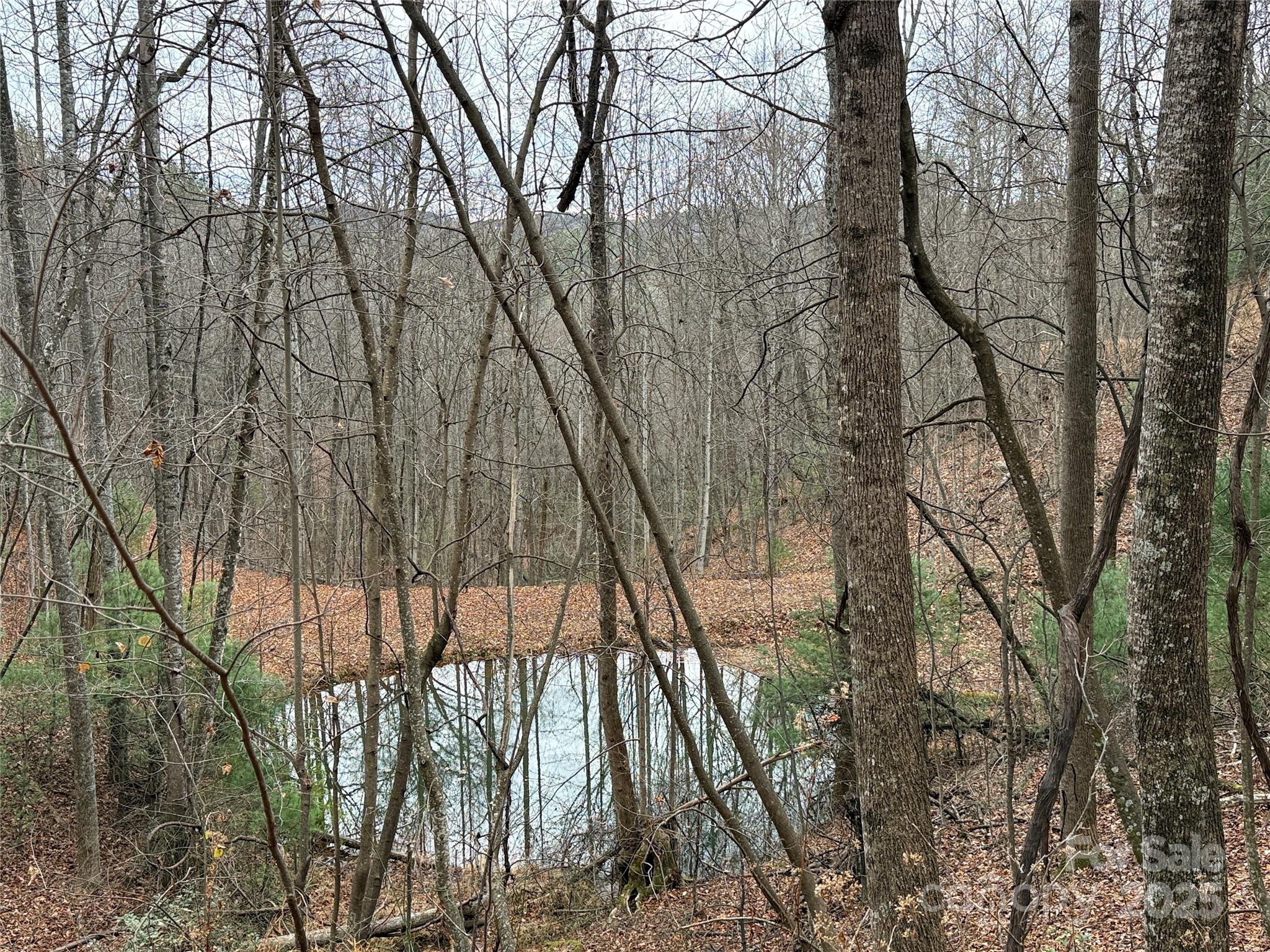 Tbd Casey Mountain Road Purlear NC 28665