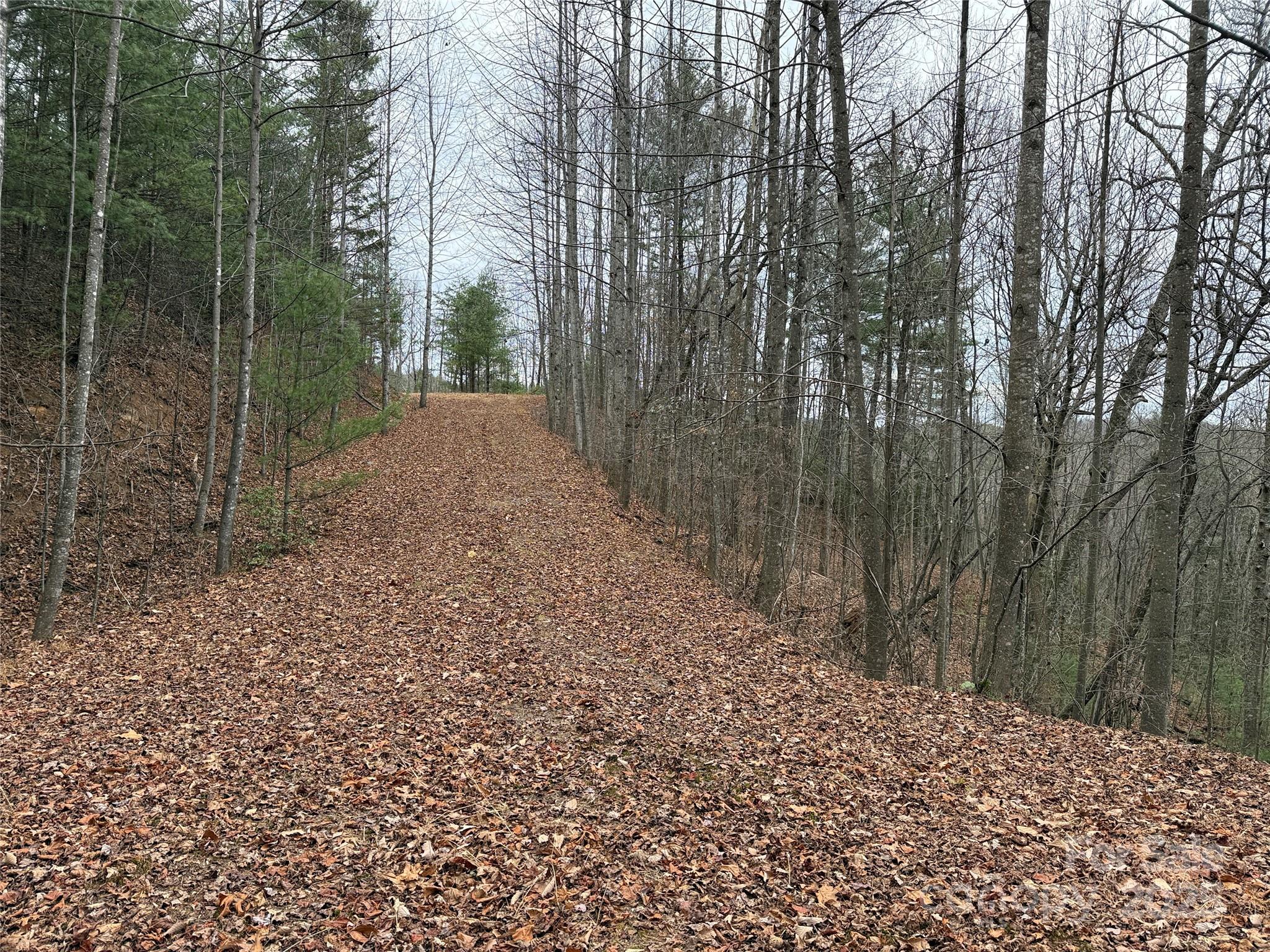 Tbd Casey Mountain Road Purlear NC 28665