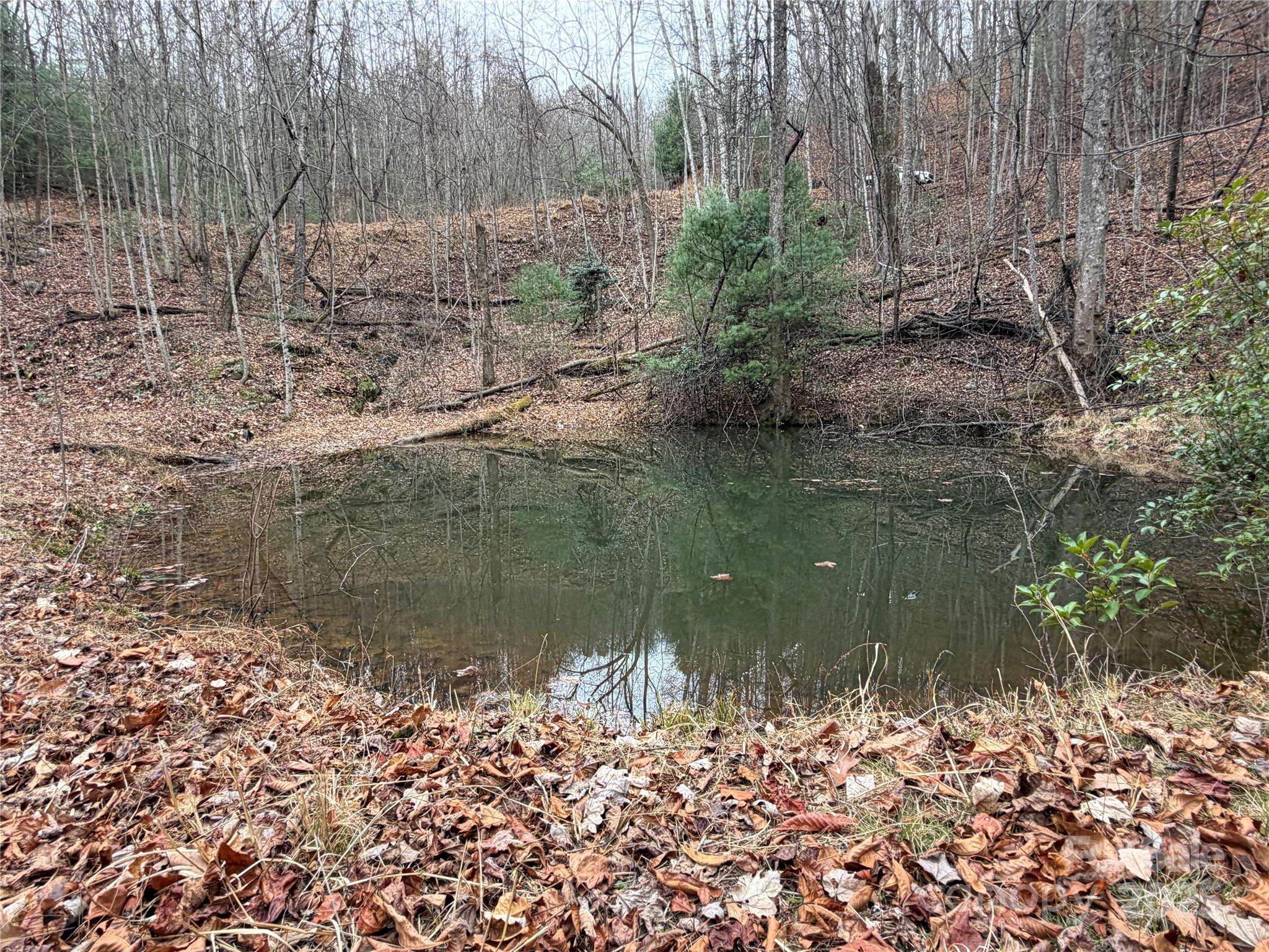 Tbd Casey Mountain Road Purlear NC 28665
