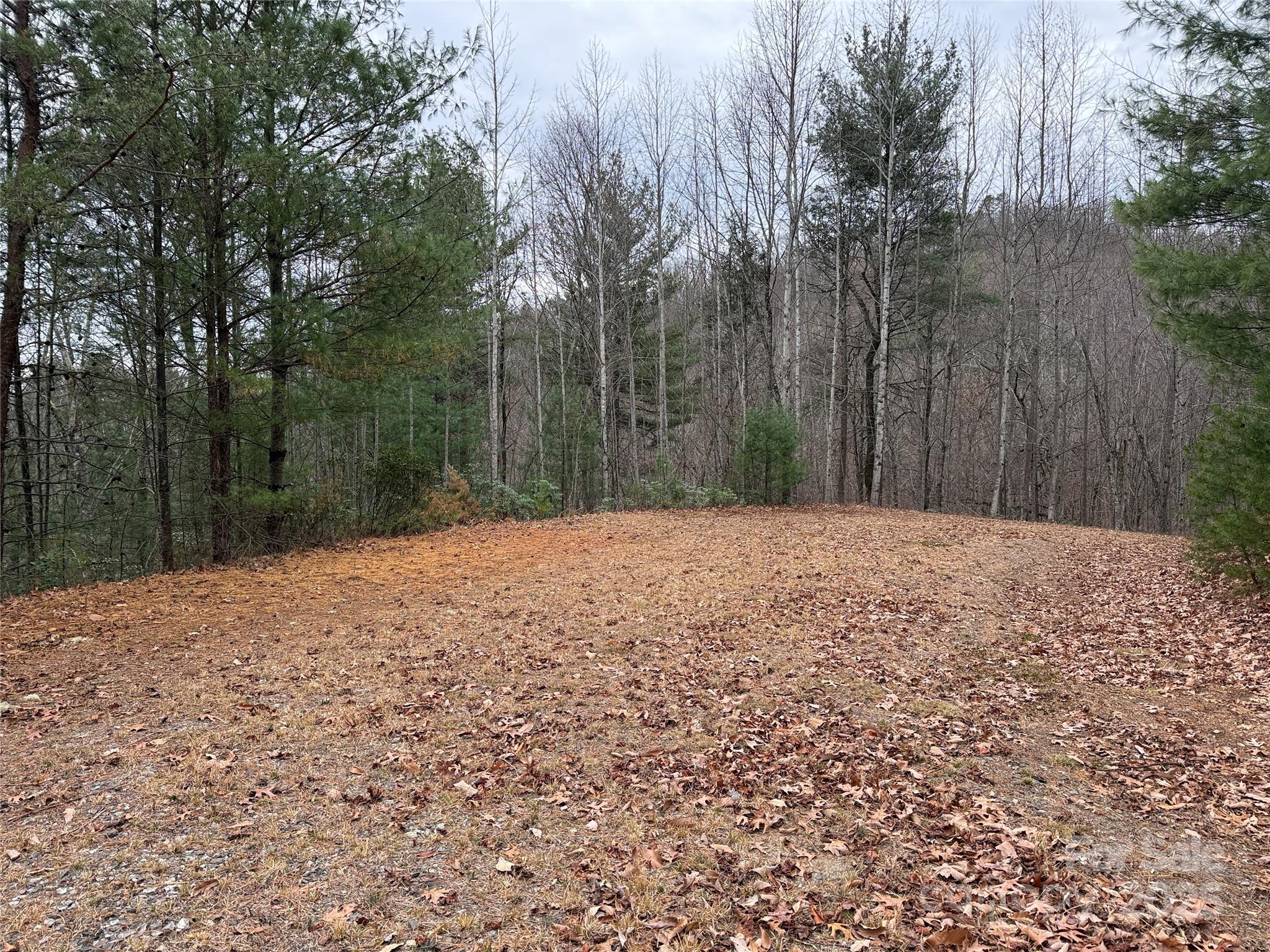 Tbd Casey Mountain Road Purlear NC 28665