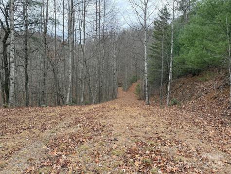 Tbd Casey Mountain Road Purlear NC 28665