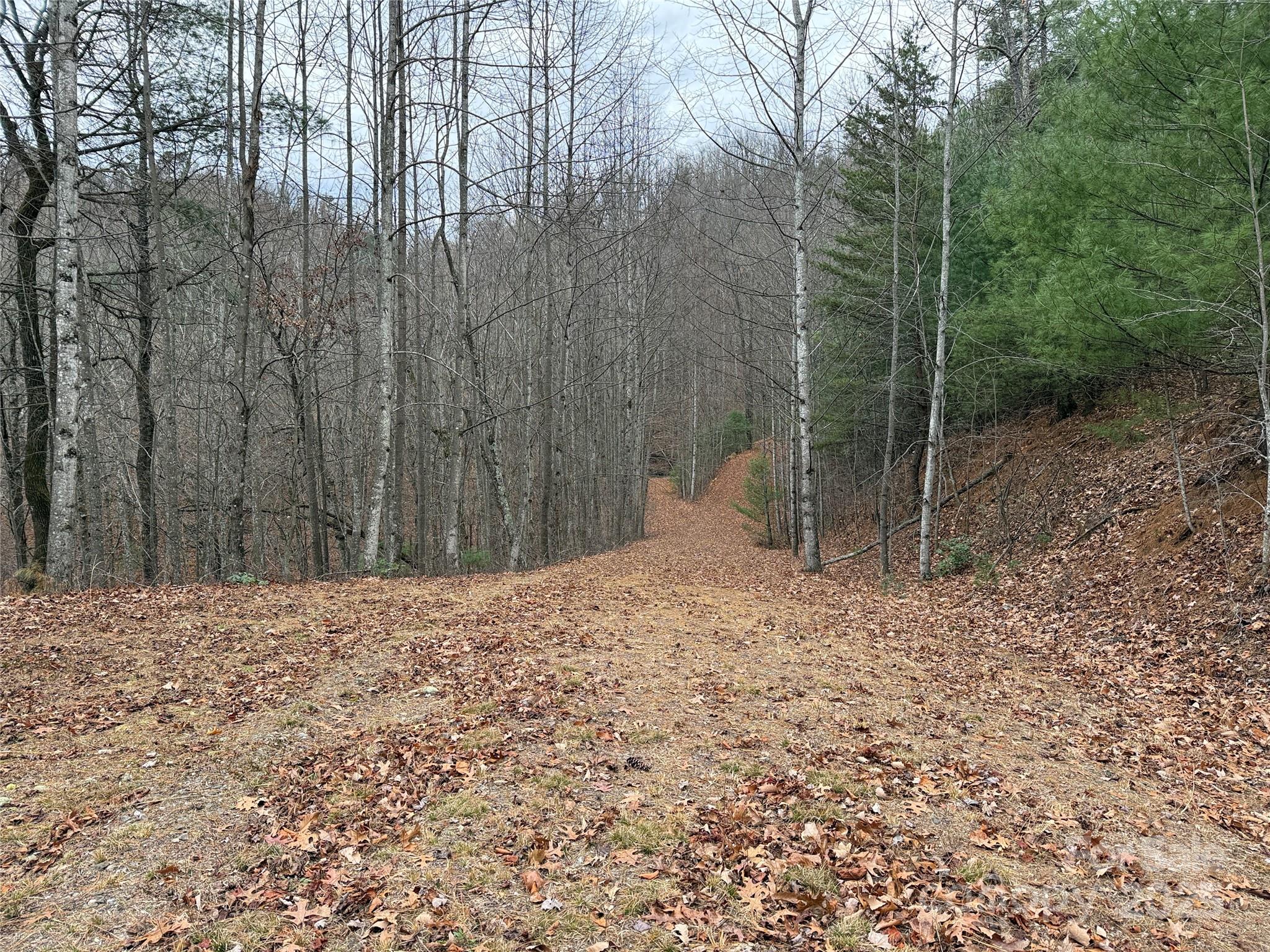 Tbd Casey Mountain Road Purlear NC 28665