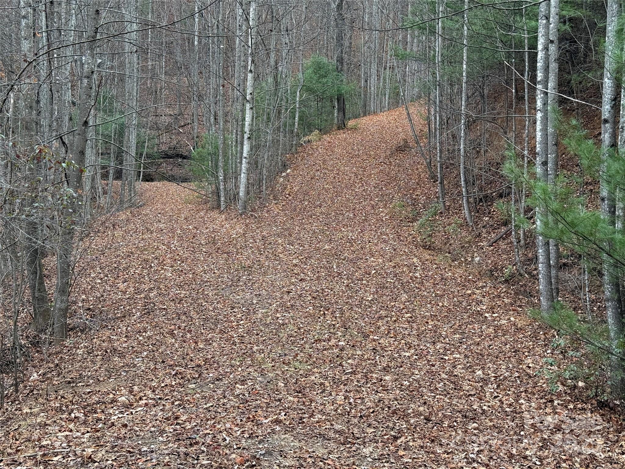 Tbd Casey Mountain Road Purlear NC 28665