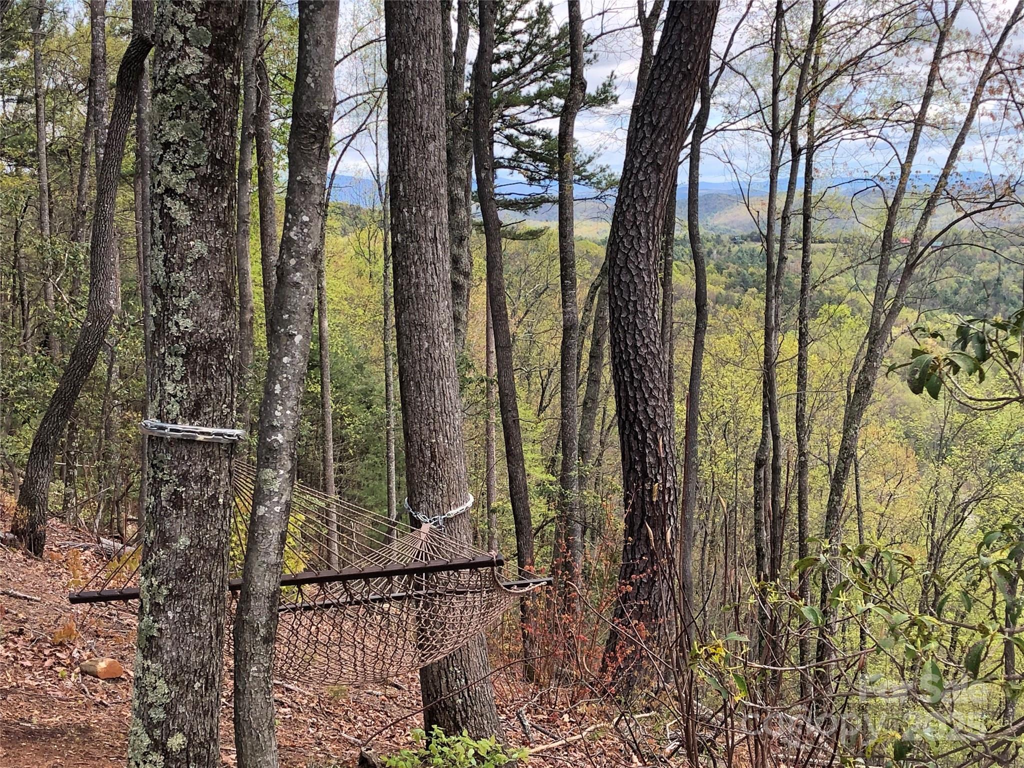 Tbd Casey Mountain Road Purlear NC 28665
