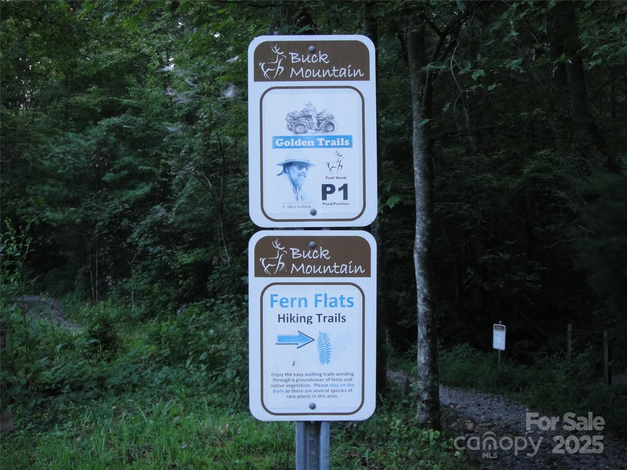 Tbd Casey Mountain Road Purlear NC 28665