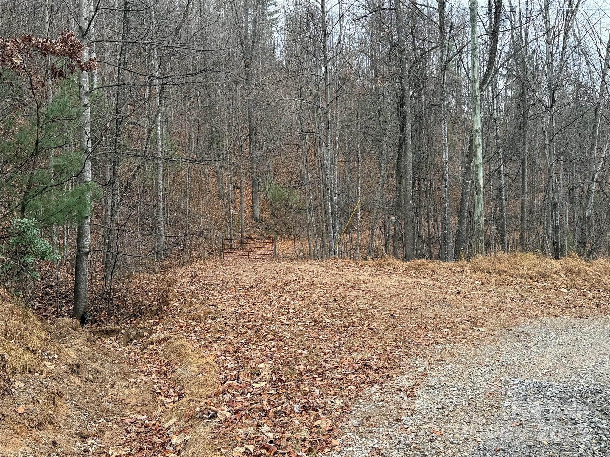 Tbd Casey Mountain Road Purlear NC 28665