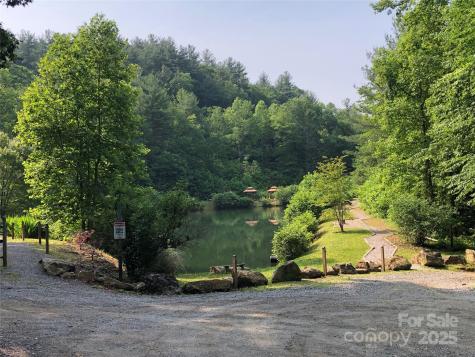 Tbd Casey Mountain Road Purlear NC 28665
