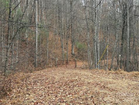Tbd Casey Mountain Road Purlear NC 28665