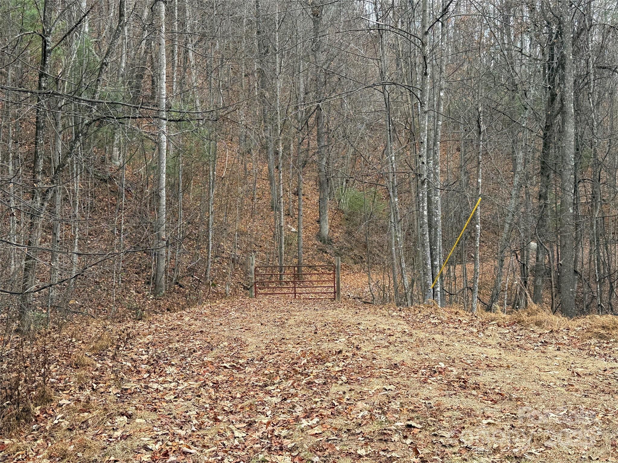 Tbd Casey Mountain Road Purlear NC 28665
