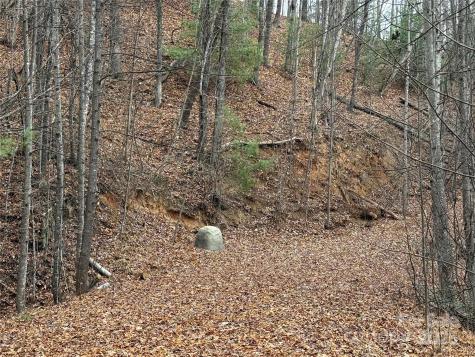 Tbd Casey Mountain Road Purlear NC 28665