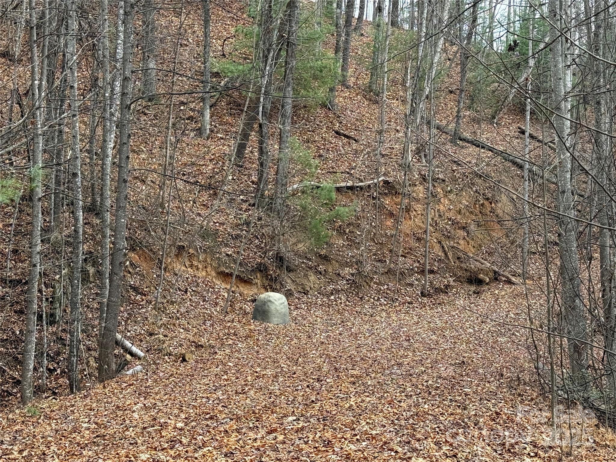 Tbd Casey Mountain Road Purlear NC 28665