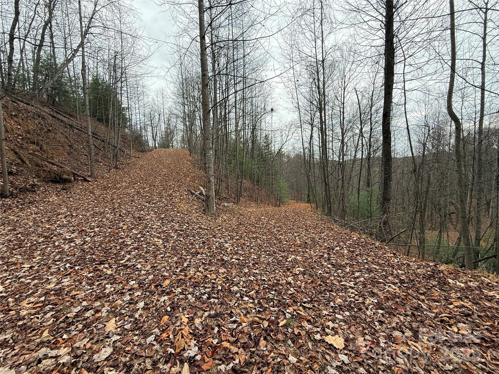 Tbd Casey Mountain Road Purlear NC 28665