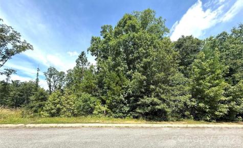 1012 Lyndon Drive Lancaster SC 29720