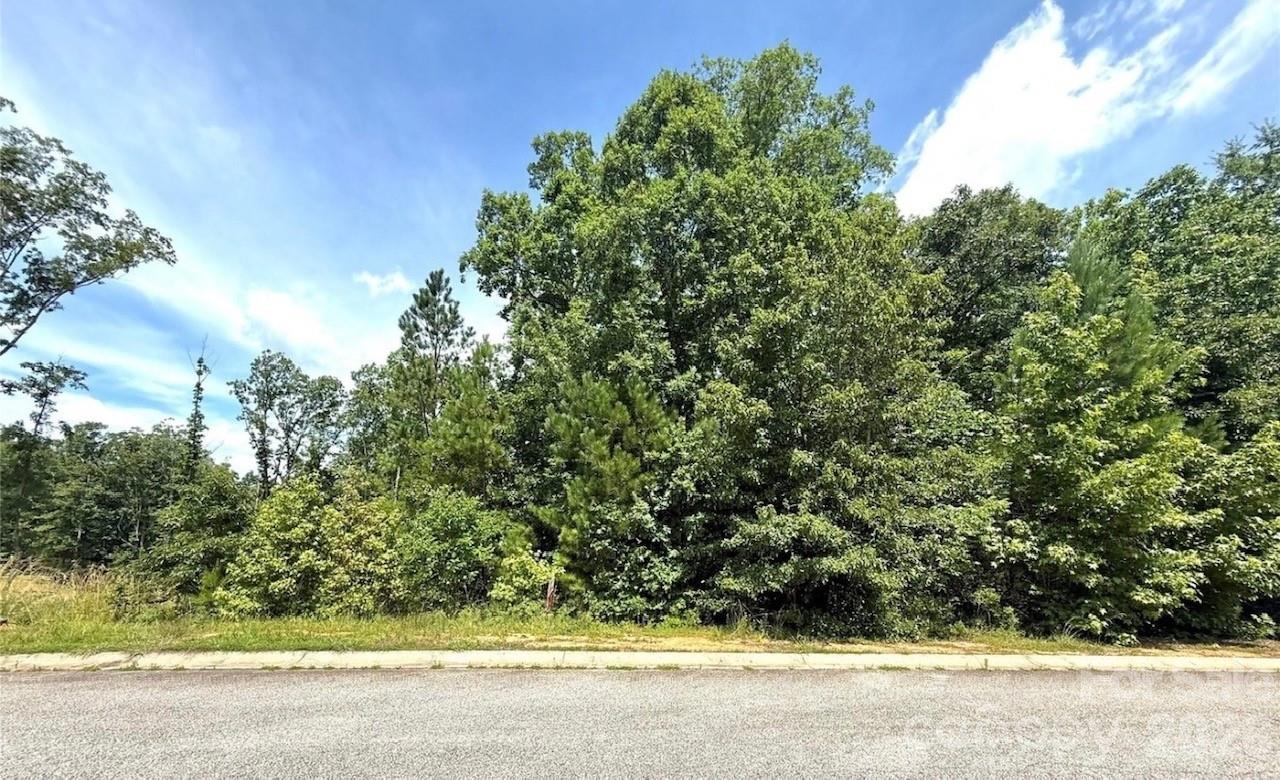 1012 Lyndon Drive Lancaster SC 29720
