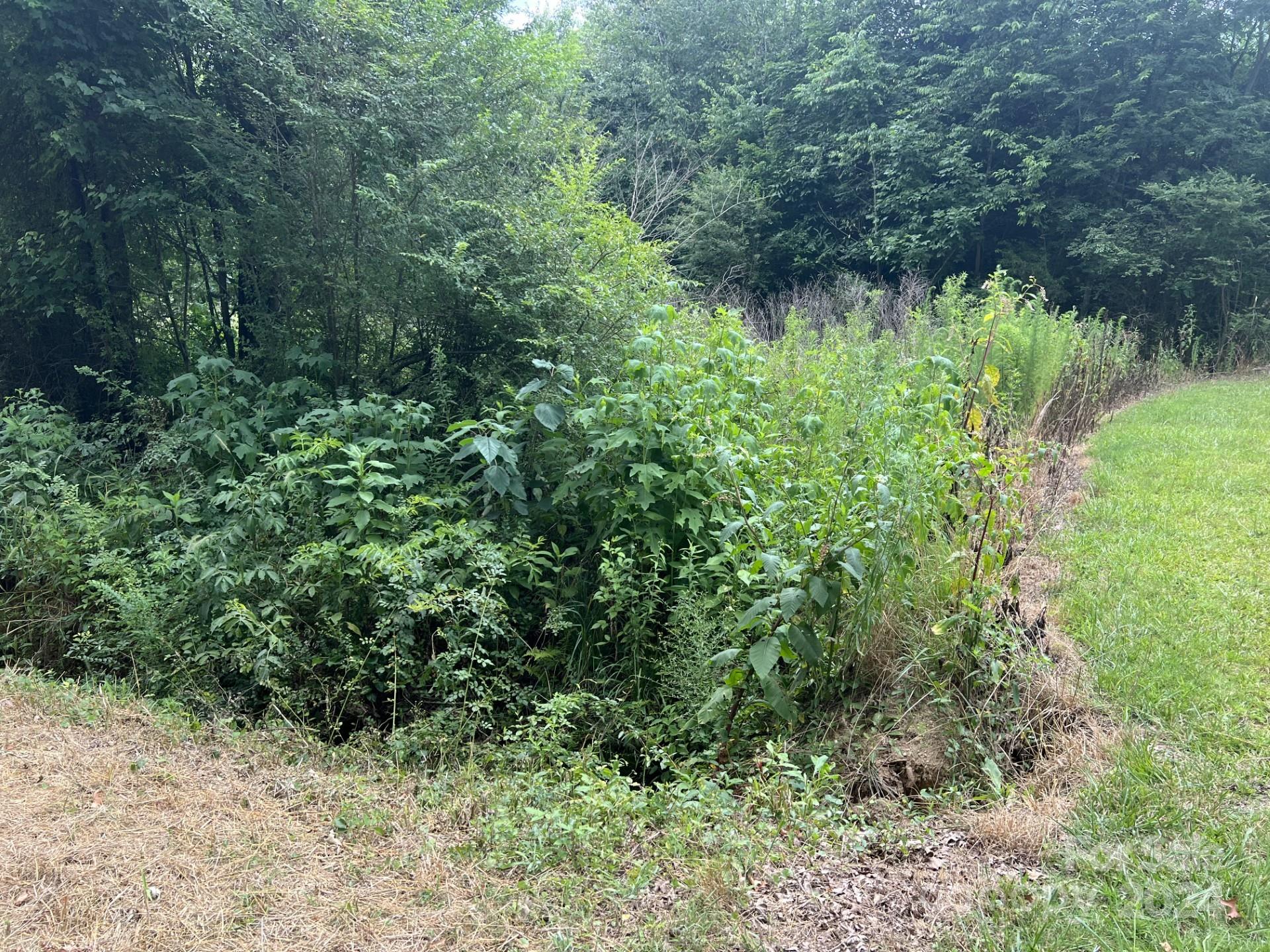 00 Cottonville Road Norwood NC 28128