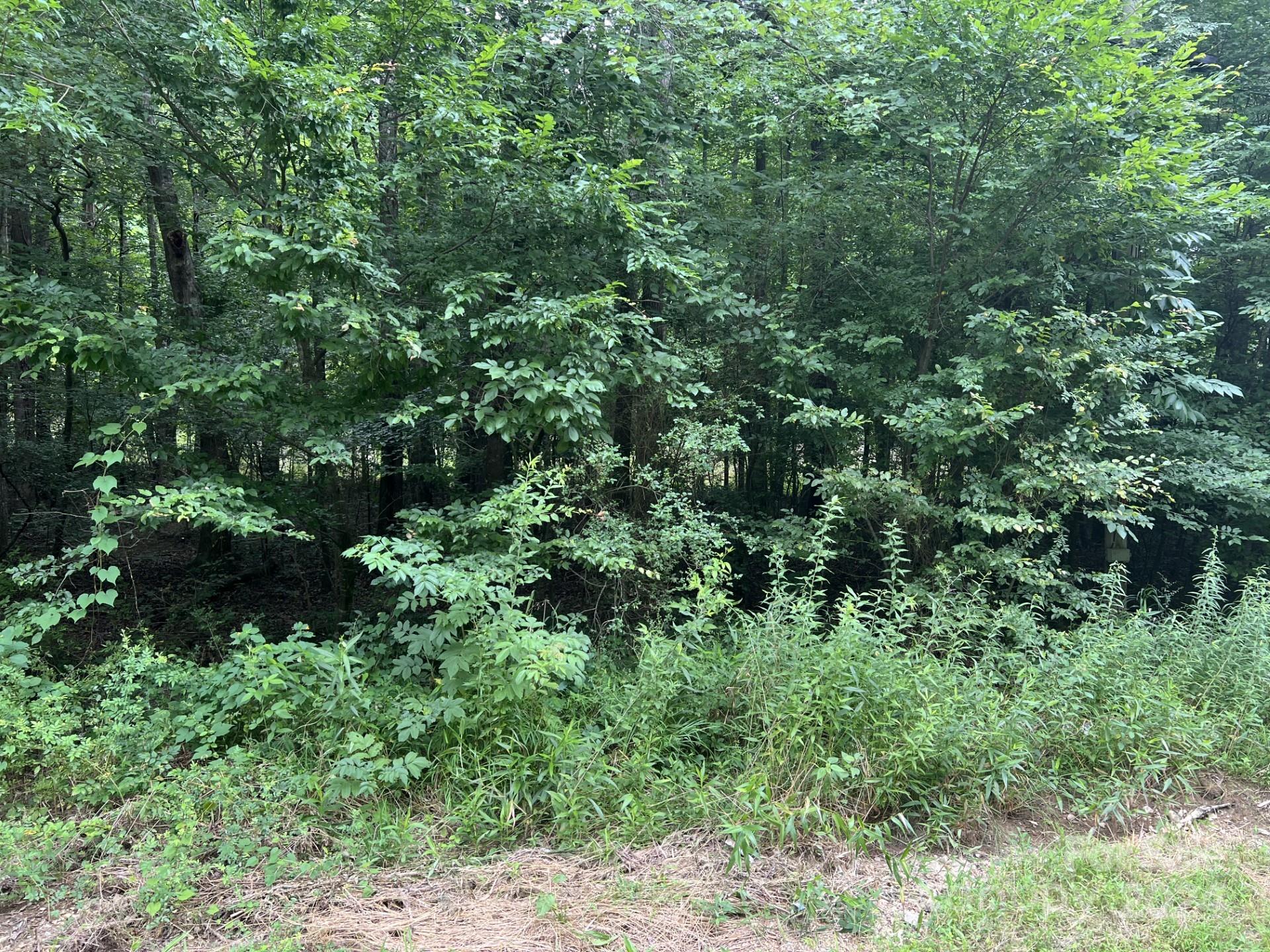 00 Cottonville Road Norwood NC 28128