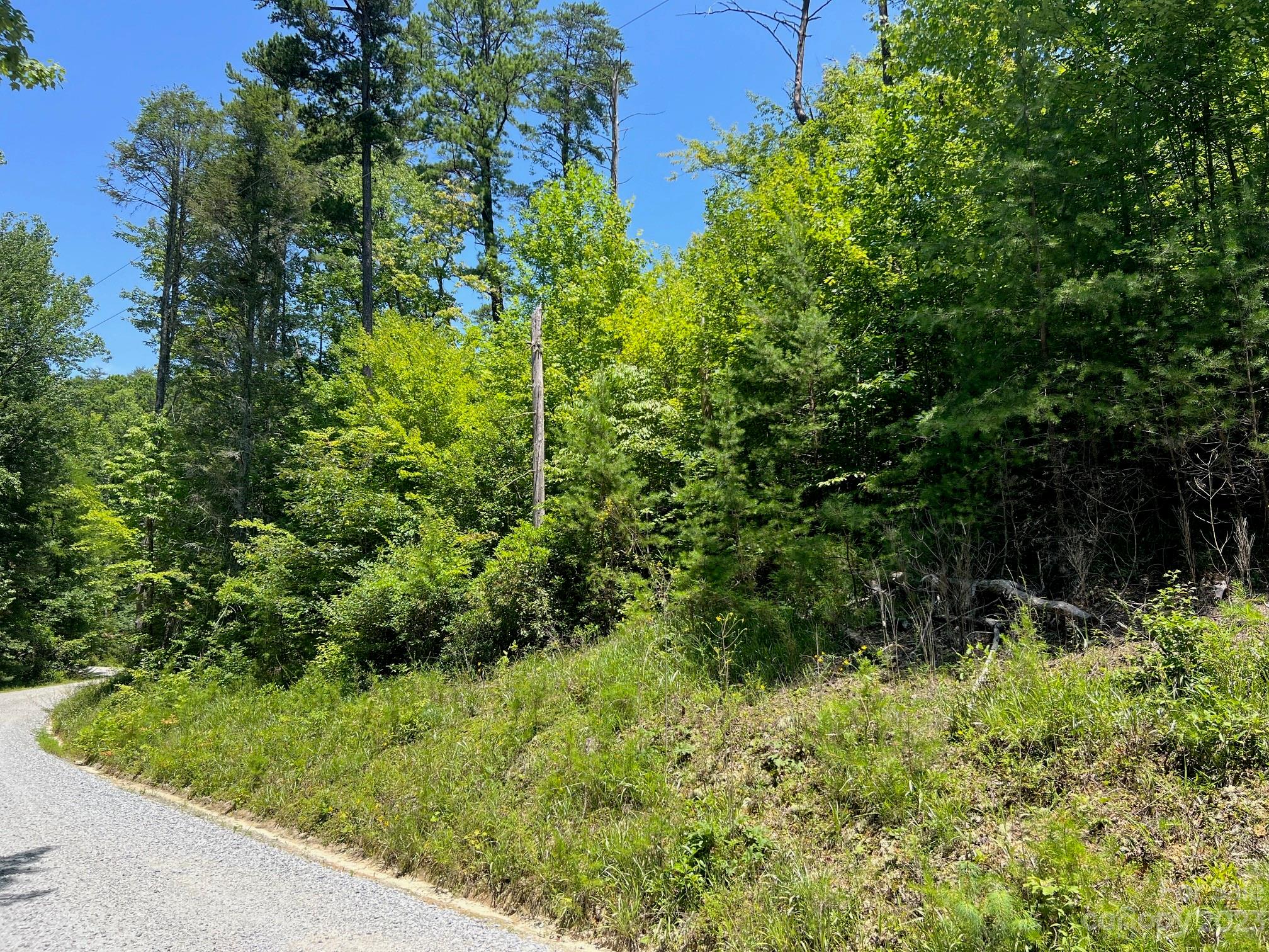 Lot 24 Round Mountain Road Brevard NC 28712