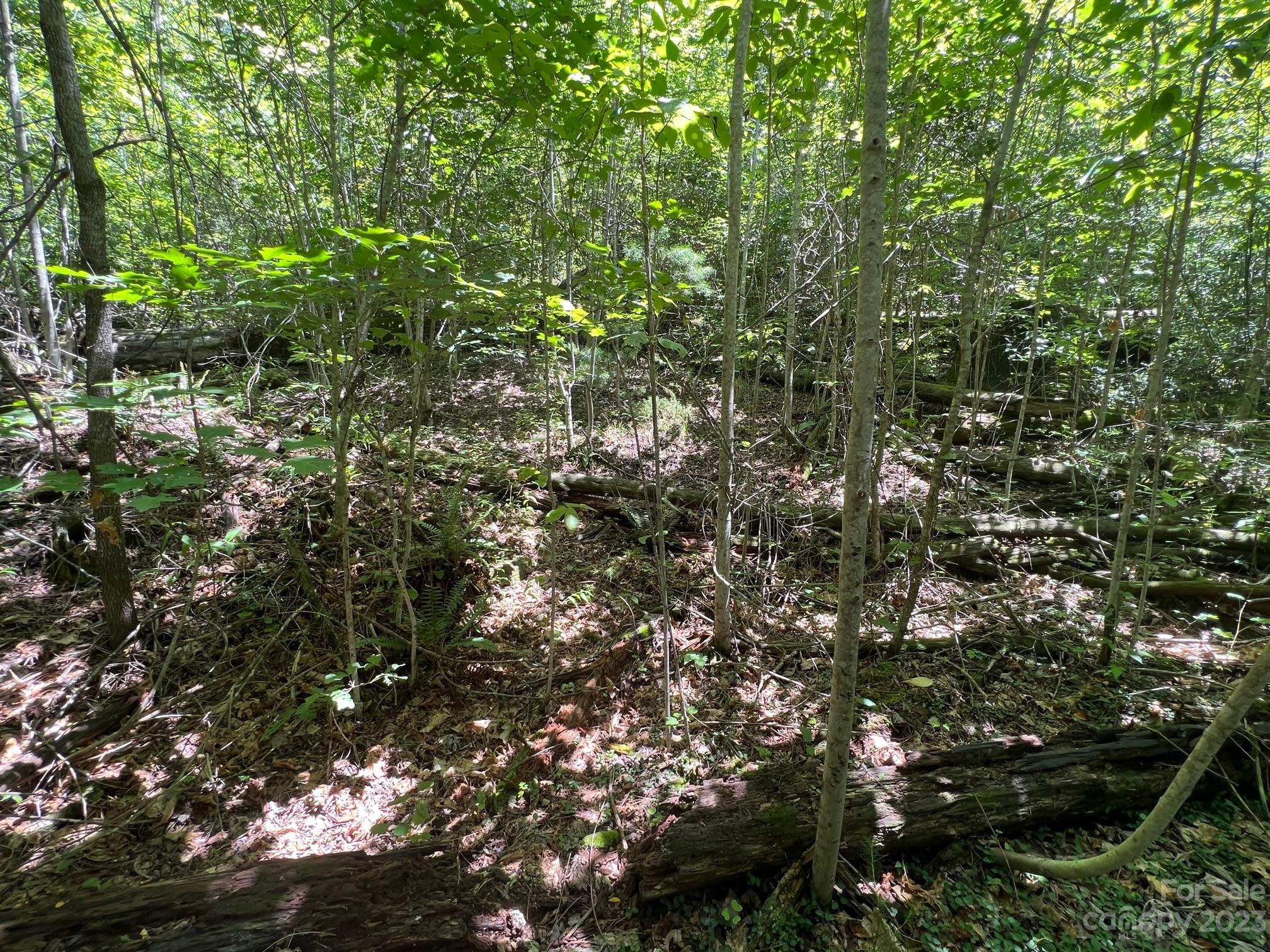 Lot 24 Round Mountain Road Brevard NC 28712