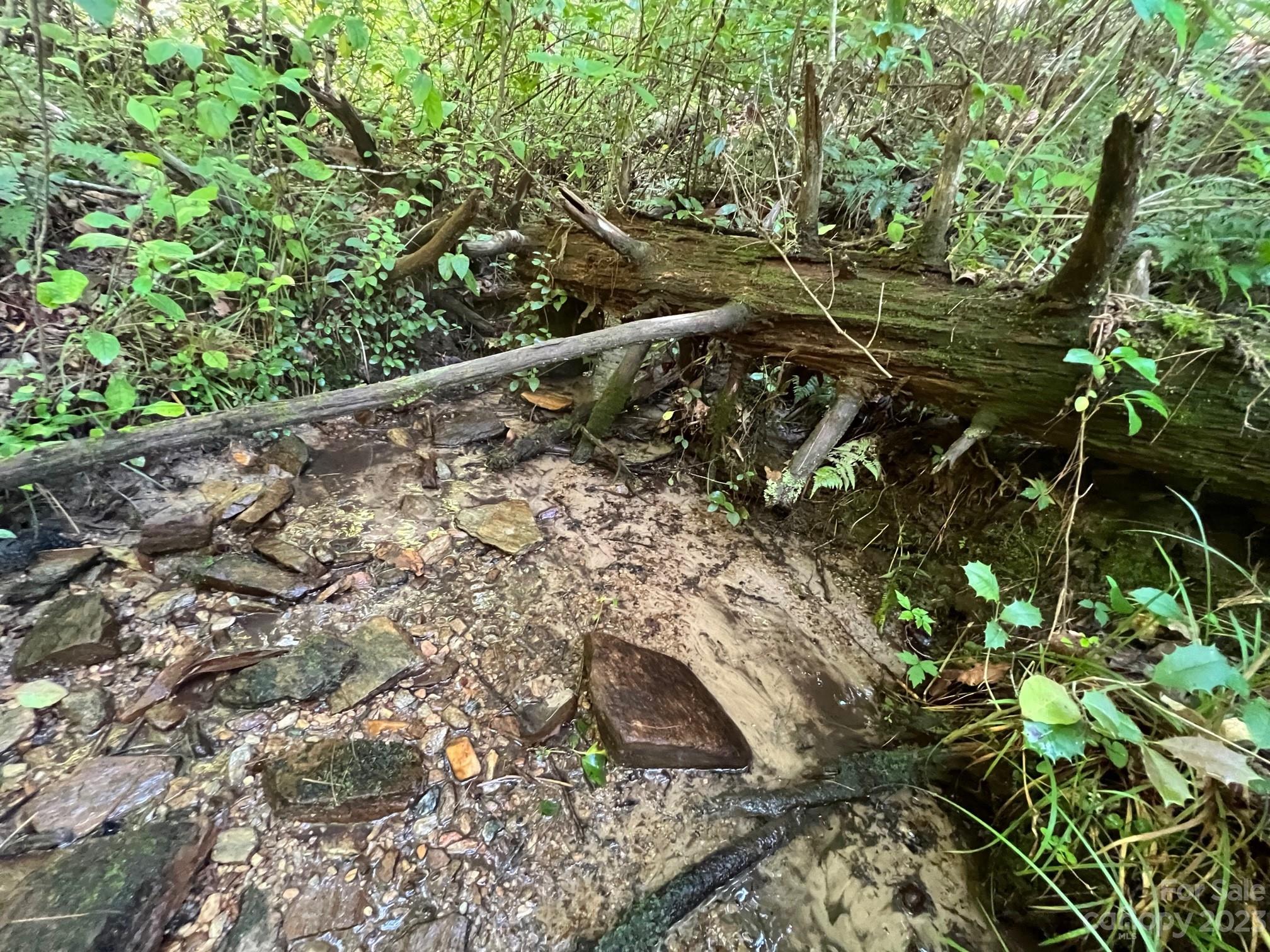 Lot 24 Round Mountain Road Brevard NC 28712