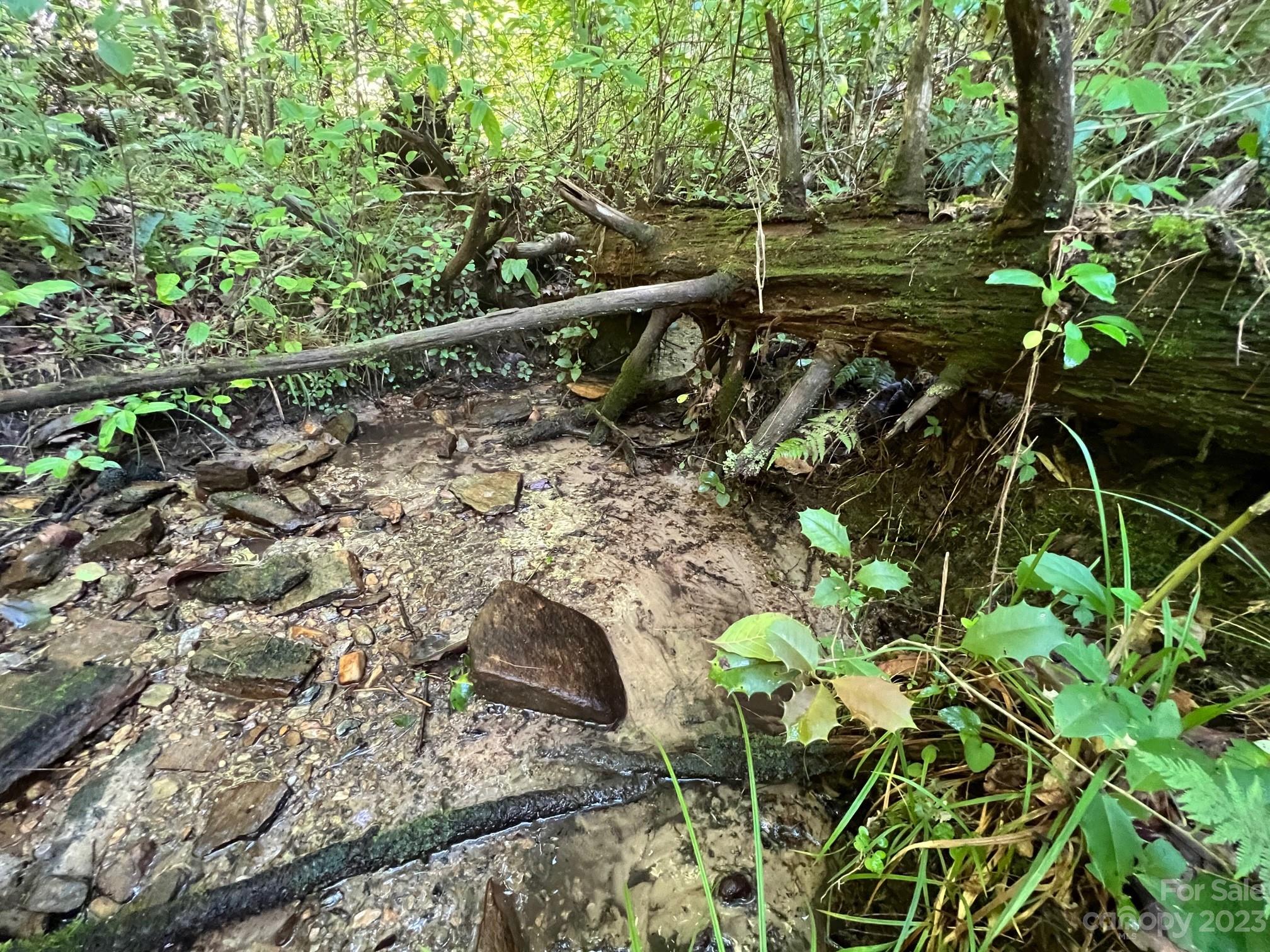 Lot 24 Round Mountain Road Brevard NC 28712