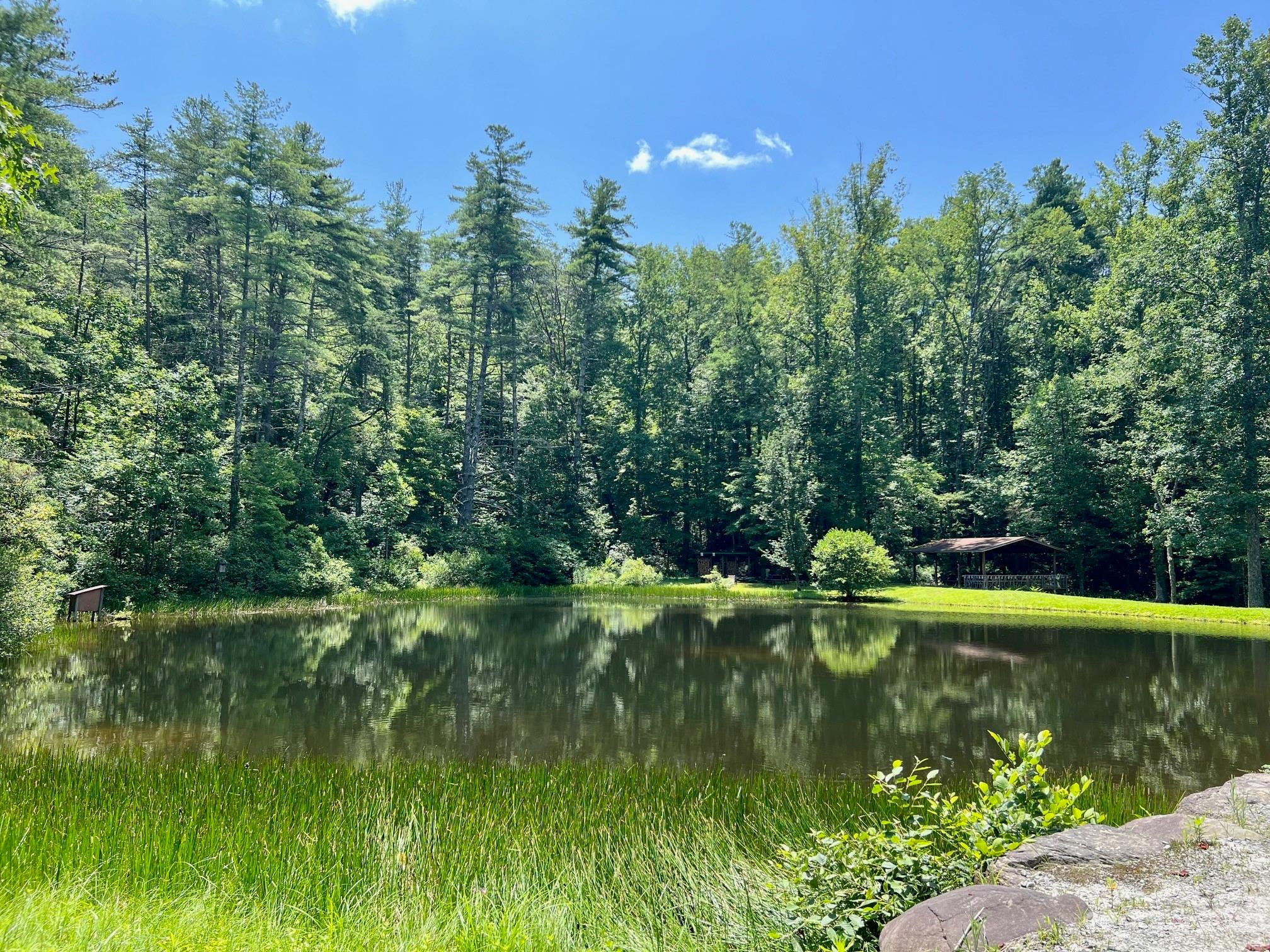 Lot 24 Round Mountain Road Brevard NC 28712