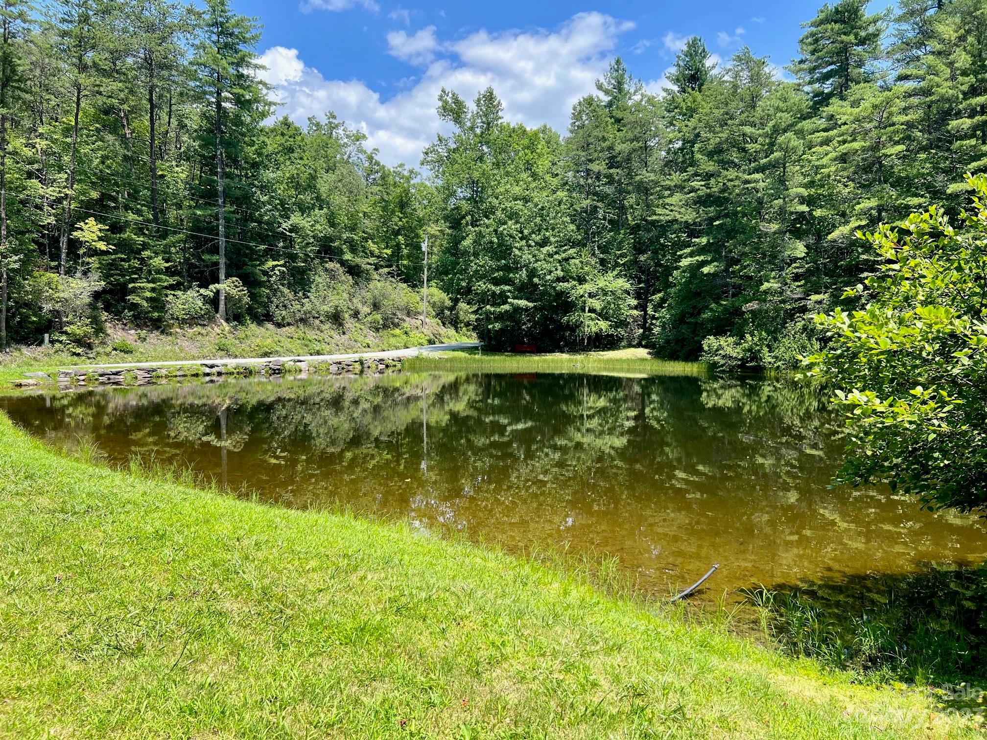 Lot 24 Round Mountain Road Brevard NC 28712