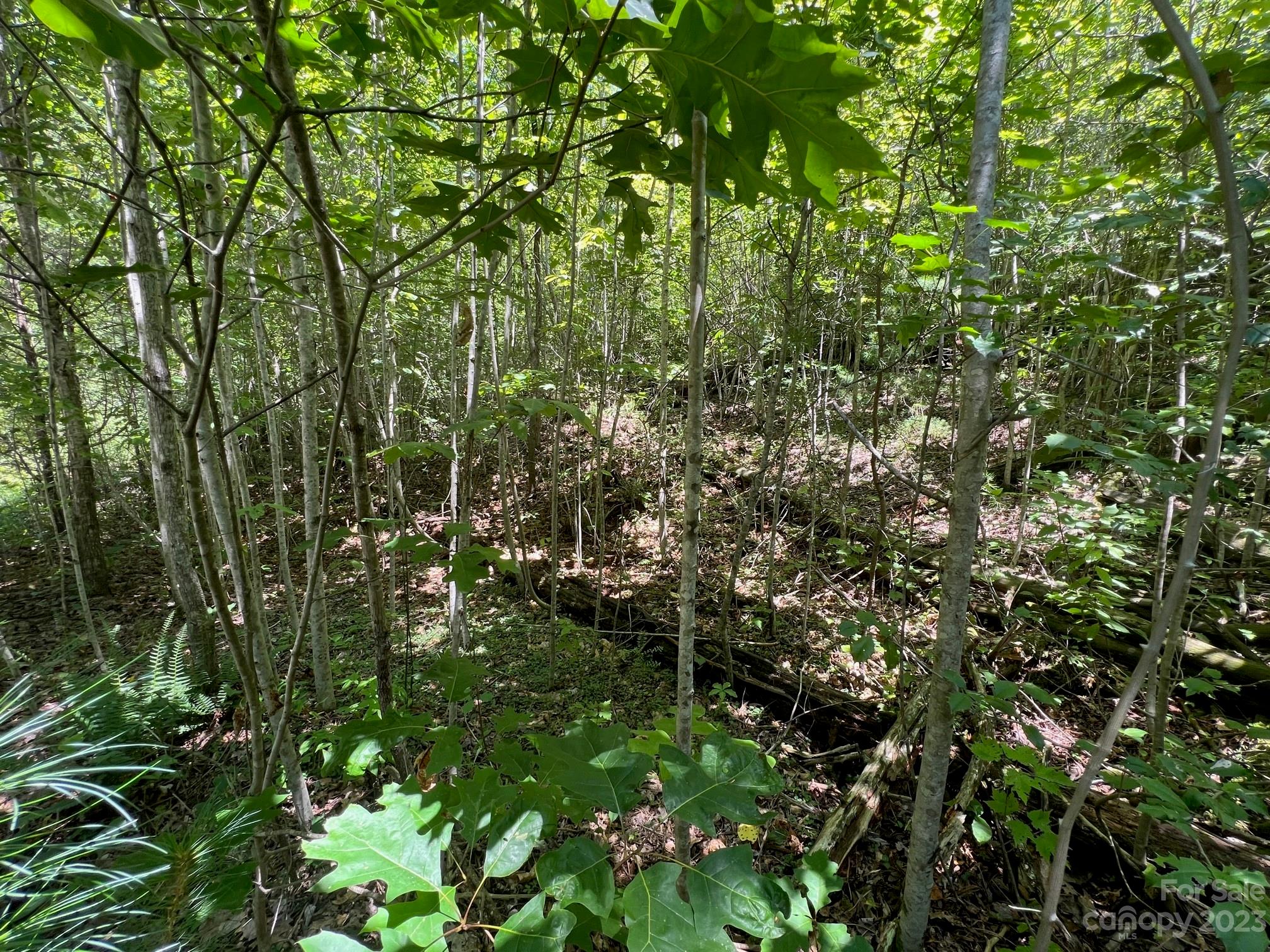 Lot 24 Round Mountain Road Brevard NC 28712
