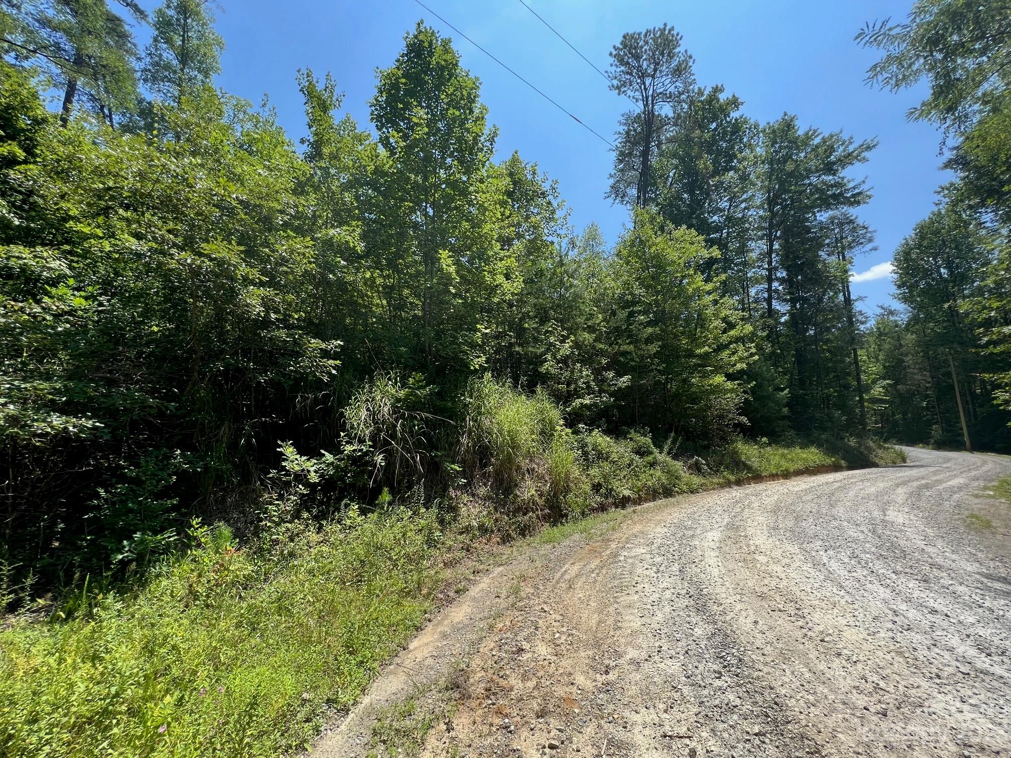Lot 24 Round Mountain Road Brevard NC 28712