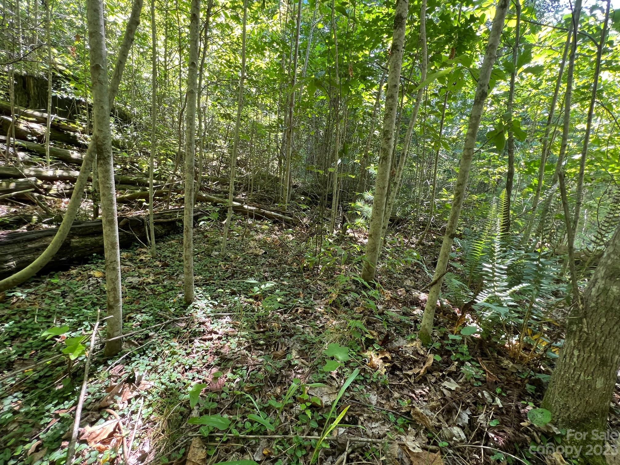 Lot 24 Round Mountain Road Brevard NC 28712