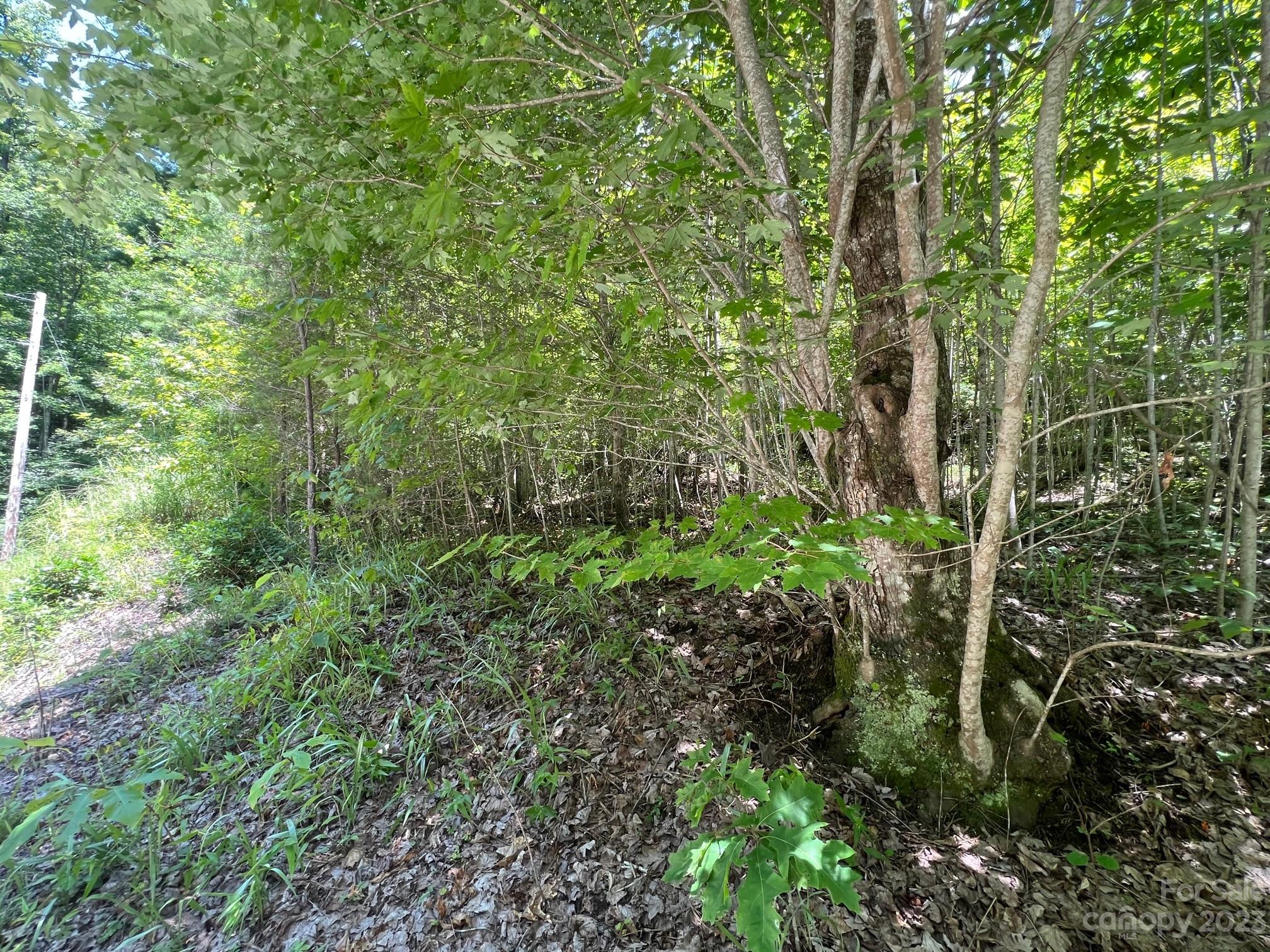 Lot 24 Round Mountain Road Brevard NC 28712