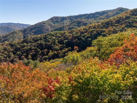 999 Cullisia Road Bryson City NC 28713