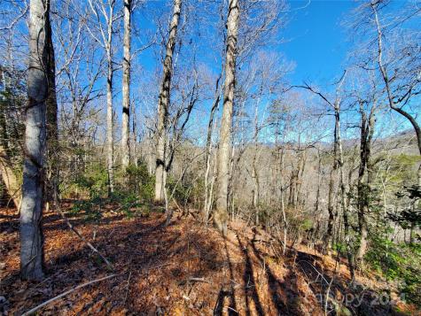 0 Big Spider Road Sylva NC 28779