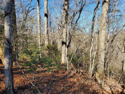 0 Big Spider Road Sylva NC 28779