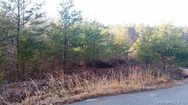 231 Macduff Lane Weaverville NC 28787