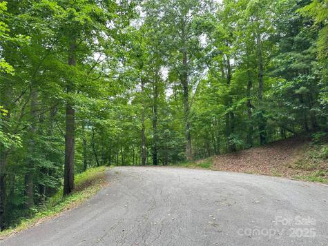 000 Ruffed Grouse Lane Waynesville NC 28786