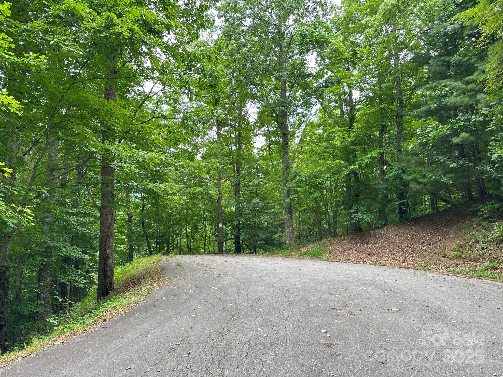 000 Ruffed Grouse Lane Waynesville NC 28786