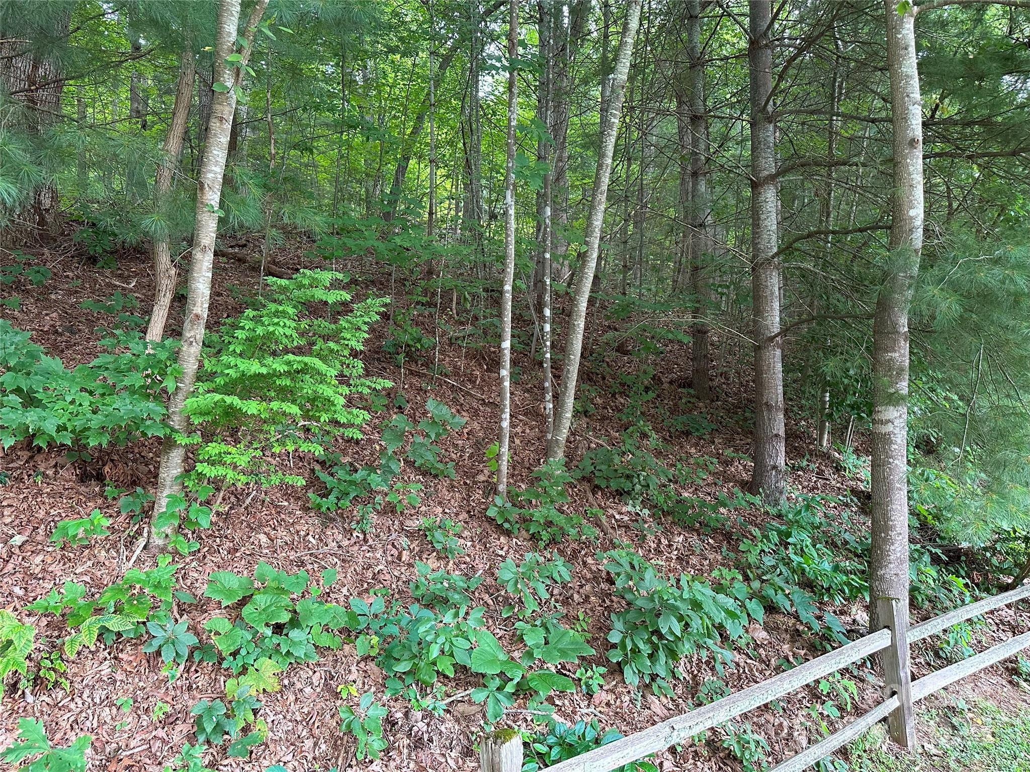 000 Ruffed Grouse Lane Waynesville NC 28786