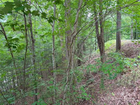 000 Ruffed Grouse Lane Waynesville NC 28786