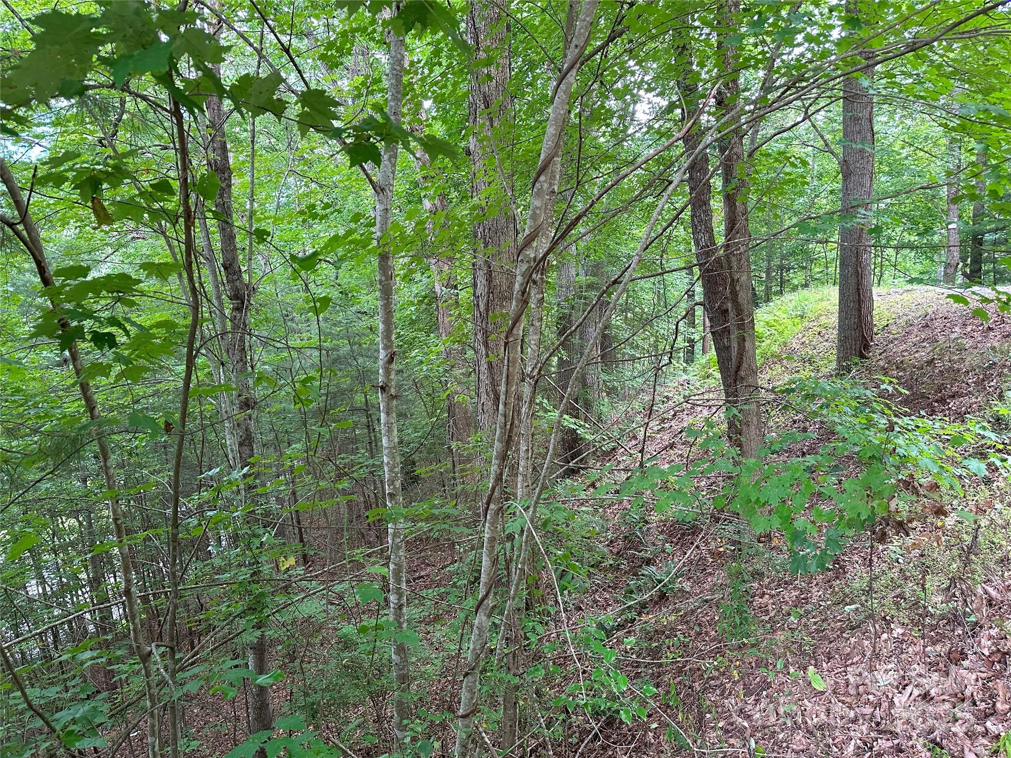 000 Ruffed Grouse Lane Waynesville NC 28786