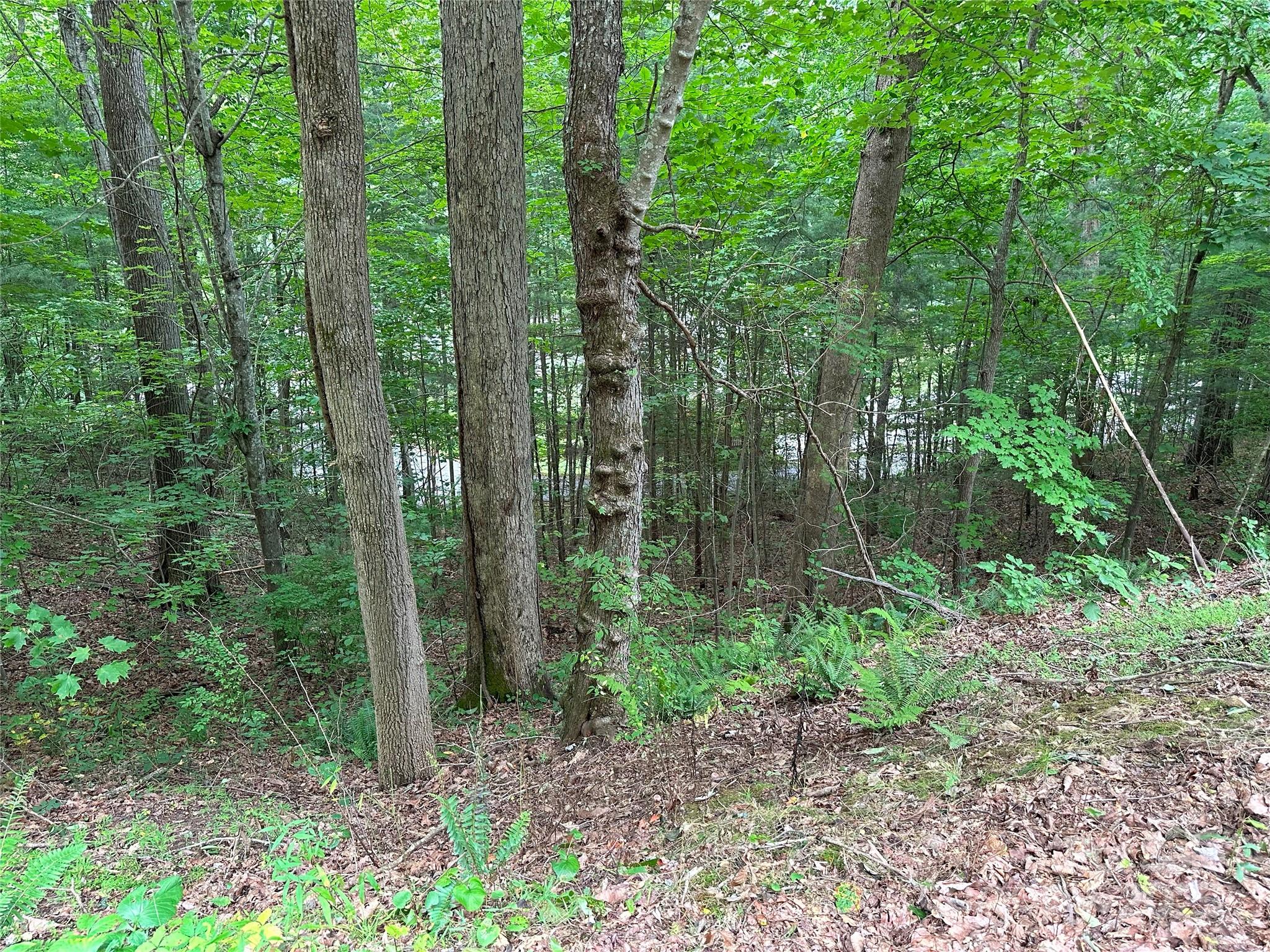 000 Ruffed Grouse Lane Waynesville NC 28786