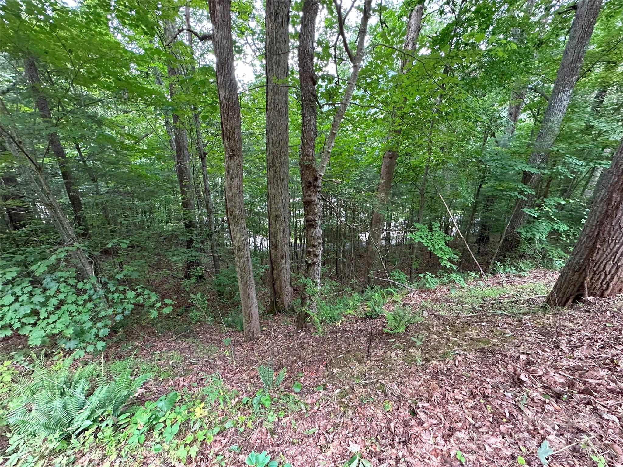 000 Ruffed Grouse Lane Waynesville NC 28786