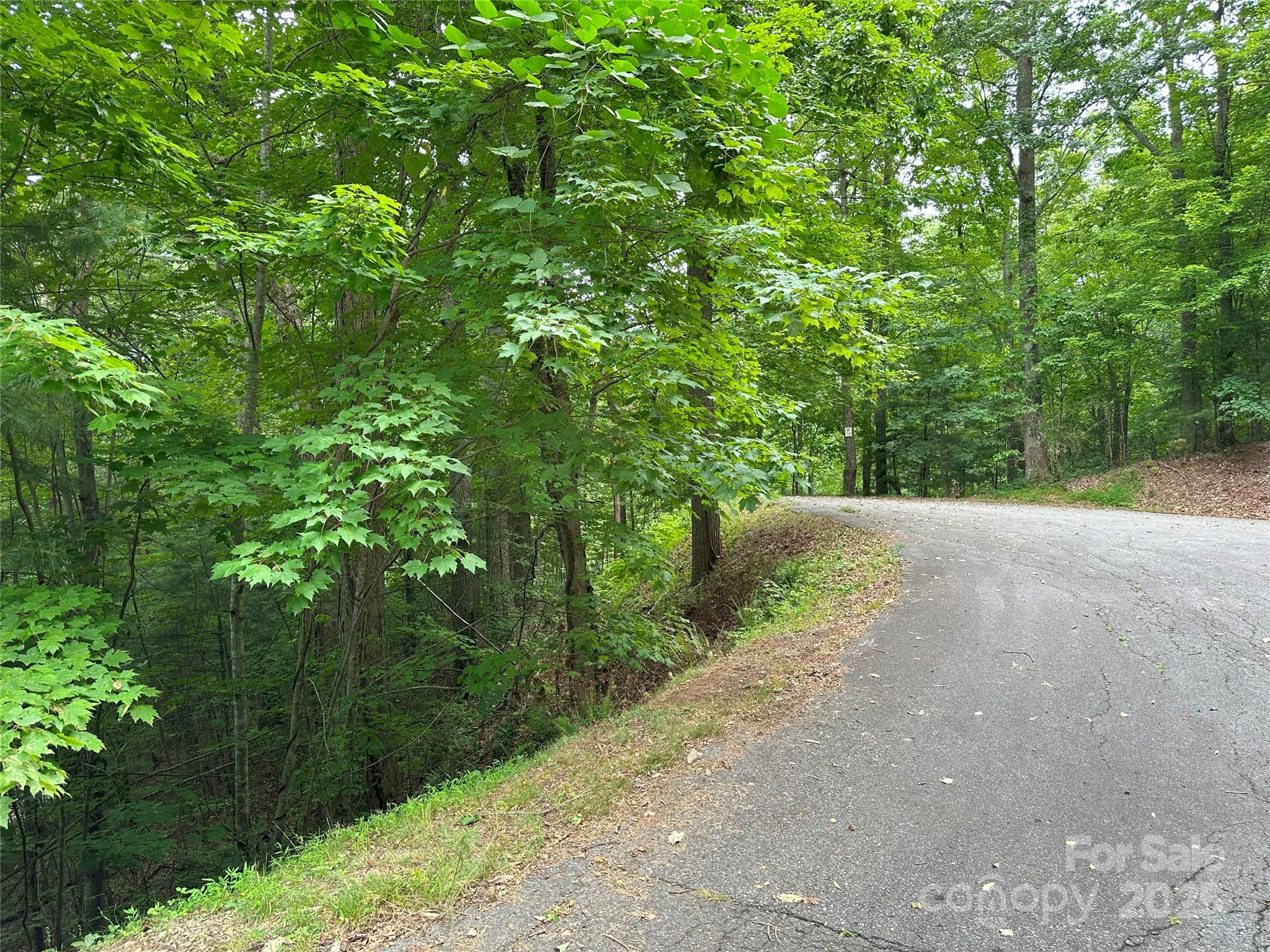 000 Ruffed Grouse Lane Waynesville NC 28786