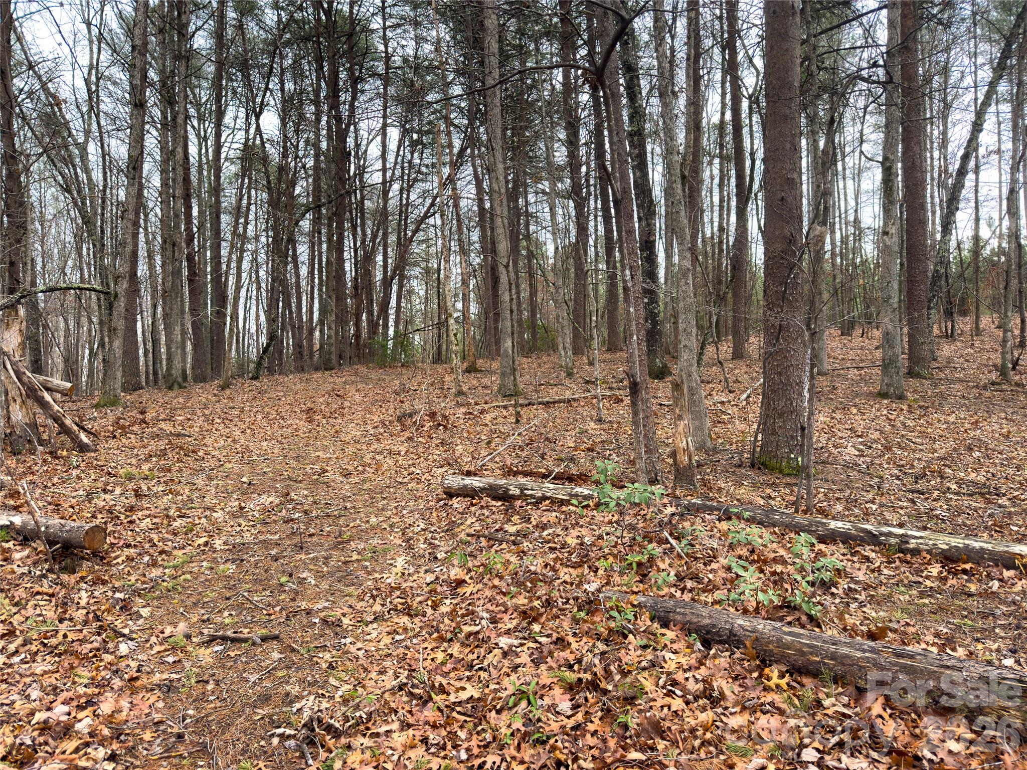 Lots 4-7 Carmel Ridge Rutherfordton NC 28139