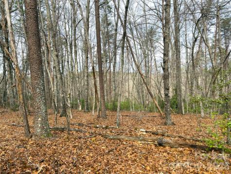 Lots 4-7 Carmel Ridge Rutherfordton NC 28139
