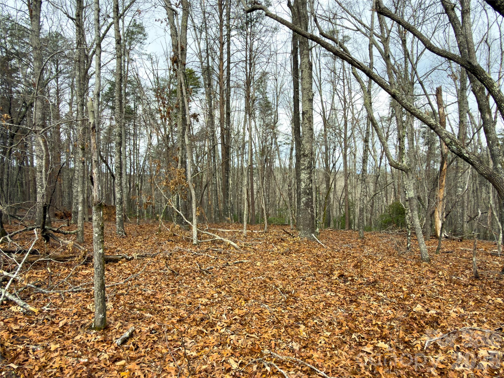 Lots 4-7 Carmel Ridge Rutherfordton NC 28139