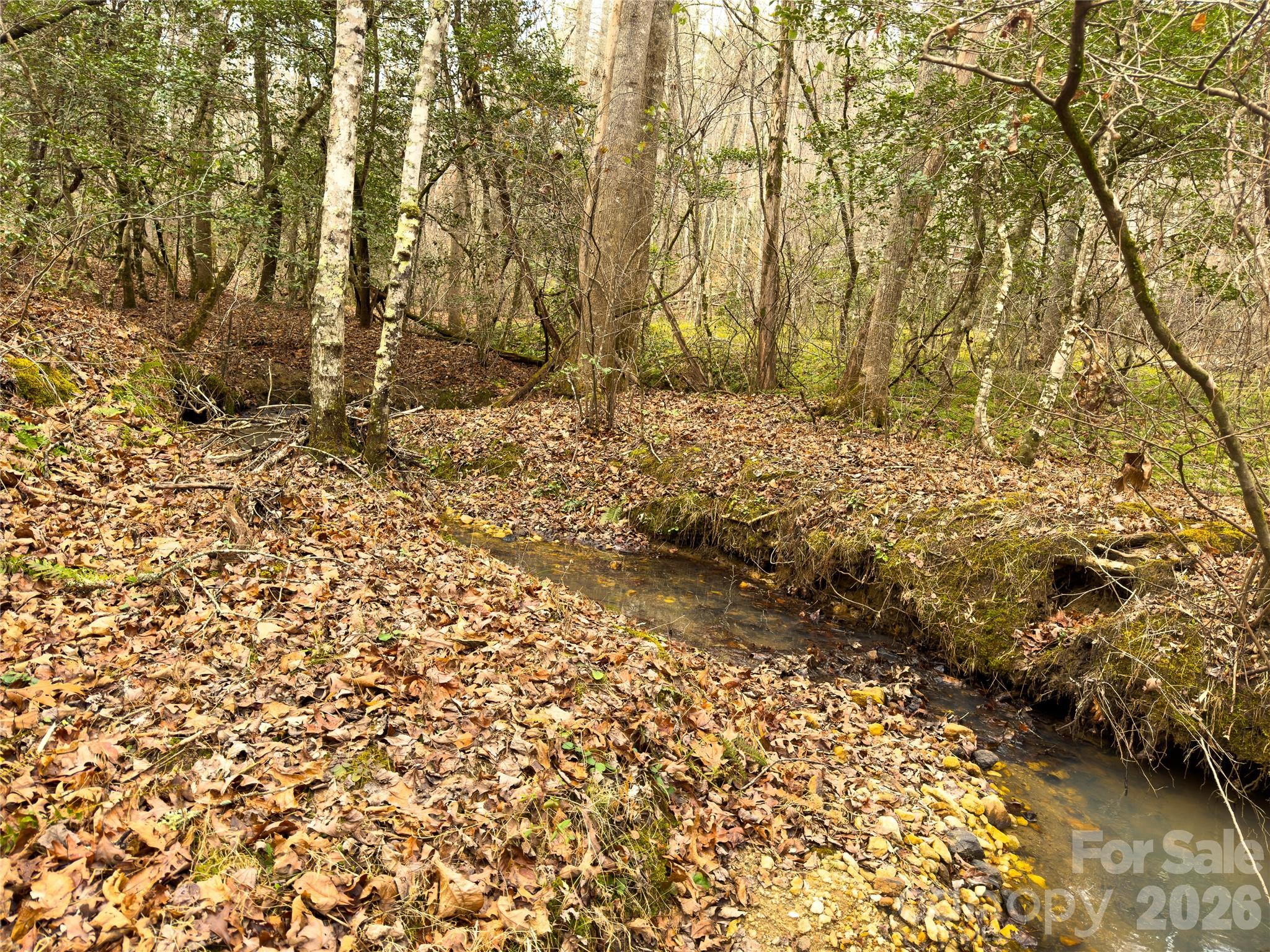 Lots 4-7 Carmel Ridge Rutherfordton NC 28139