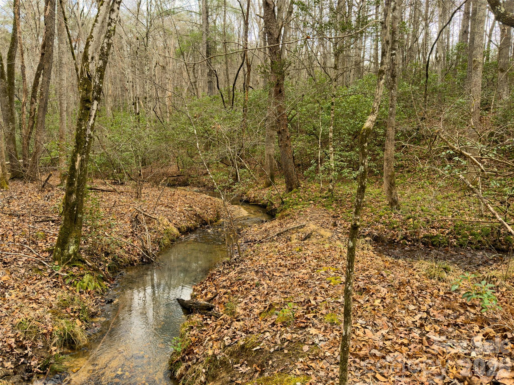 Lots 4-7 Carmel Ridge Rutherfordton NC 28139